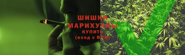 шишки Новокубанск