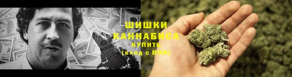шишки Новокубанск