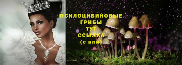 гидропоника Новодвинск