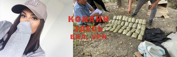 гидропоника Новодвинск
