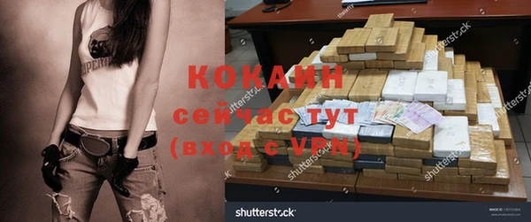 шишки Новокубанск