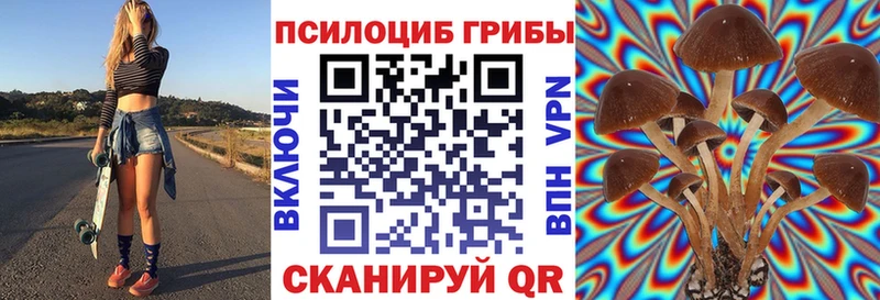 Псилоцибиновые грибы GOLDEN TEACHER где найти наркотики Приволжский