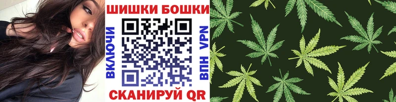 купить закладку Приволжский Бошки Шишки ГИДРОПОН